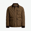 Chestnut